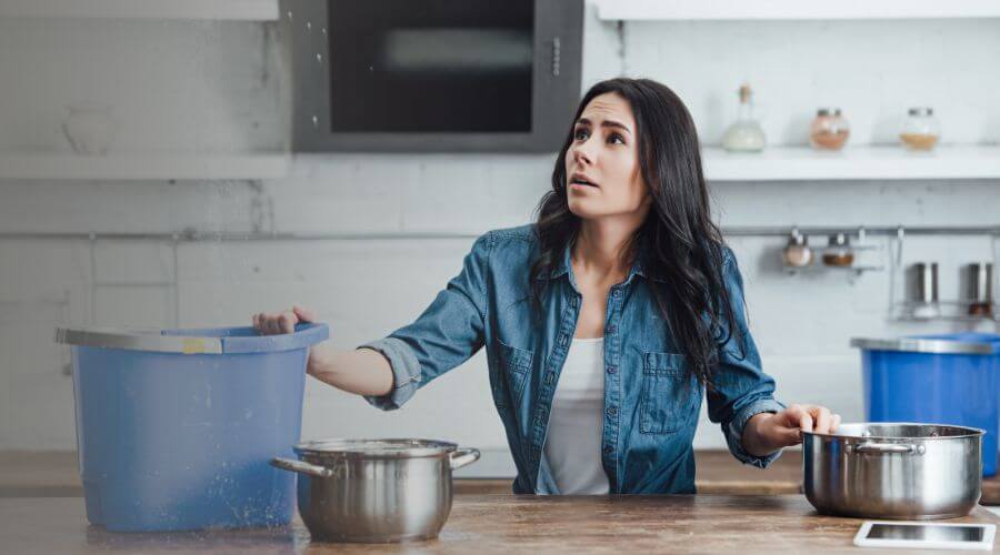 Why choose Black Mold Removal Groveton for black mold removal in Groveton